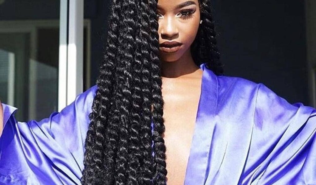 Natural Hair - Wait Time Before Getting New Braids? - obaasema | a ...